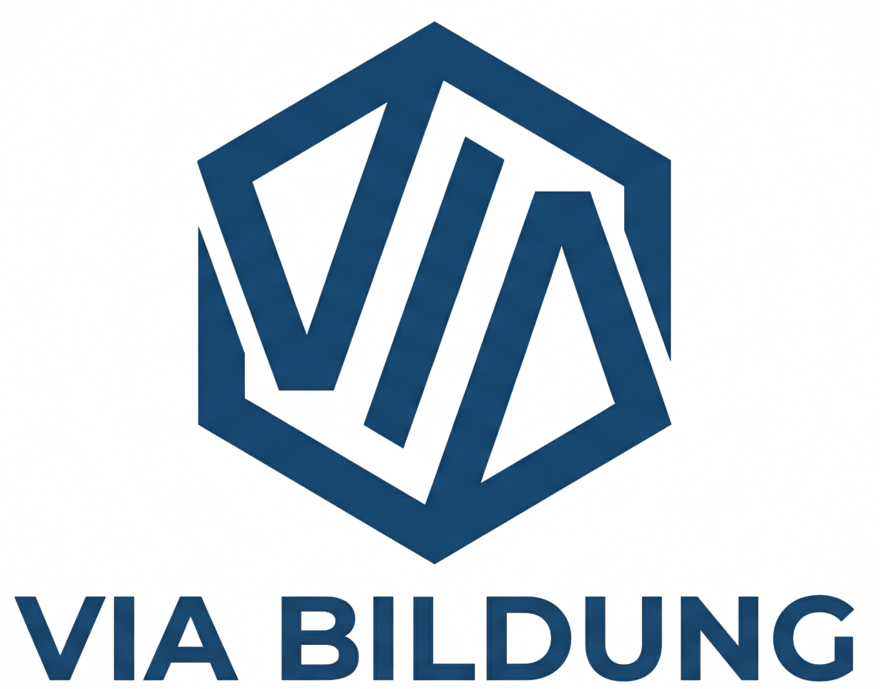 VIA Bildung